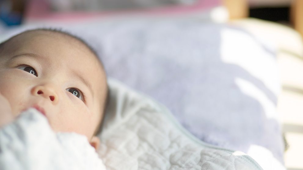 赤ちゃんの目に世界はどう映る？ 視覚の発達が担う「関係を結ぶ力」