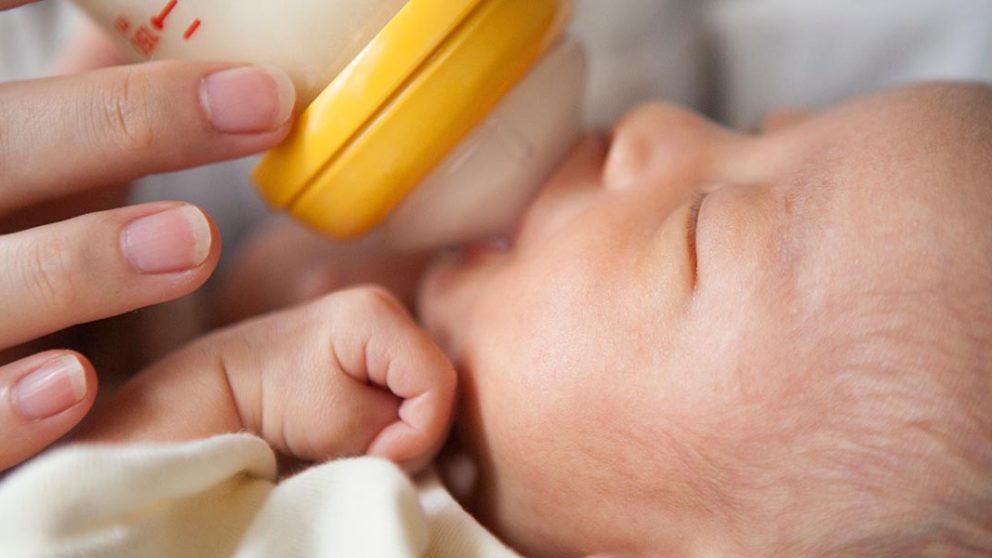 胎児期から発達する味覚と嗅覚 繰り返される「味」と「におい」が赤ちゃんの安心感に