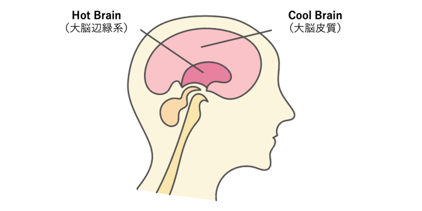 Hot Brain と Cool Brain