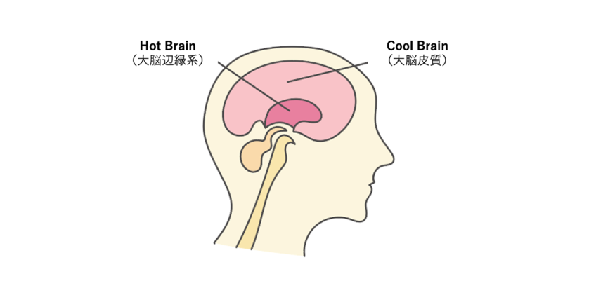Hot Brain と Cool Brain